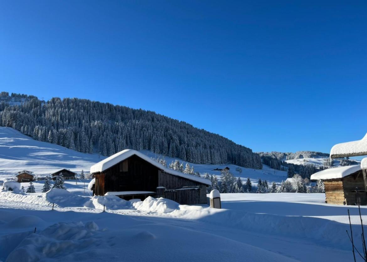 Le Chalet Du Cret - 8 Pers, Tout Confort Avec Jacuzzi Notre-Dame-de-Bellecombe Dış mekan fotoğraf